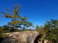 GFXS7223_Radiant