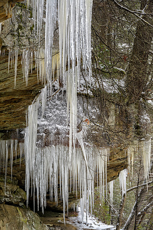 KY_Snow-6045