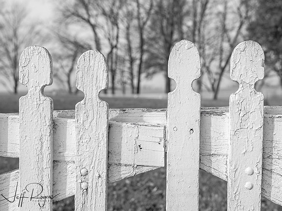 Shaker_2846_28x38bw_W
