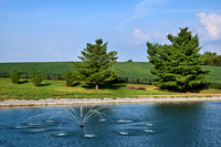 Windcrest Farm