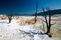 Yellowstone-6378