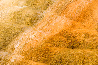 Yellowstone-6465