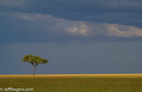 Maasai_Mara-4871