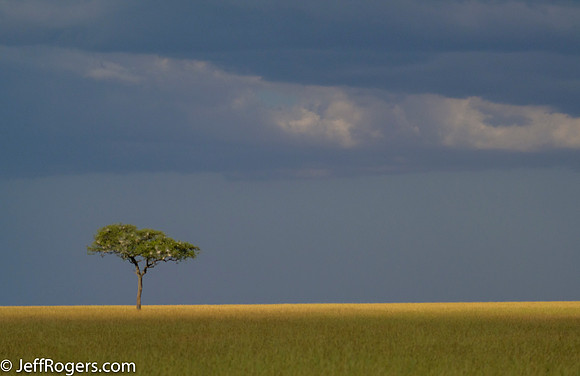 Maasai_Mara-4871