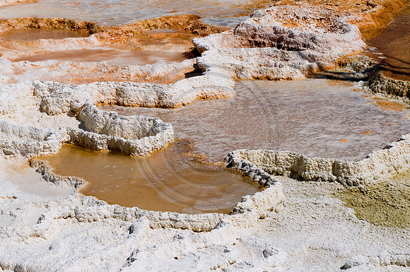Yellowstone-6425