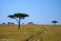 Maasai_Mara-3744