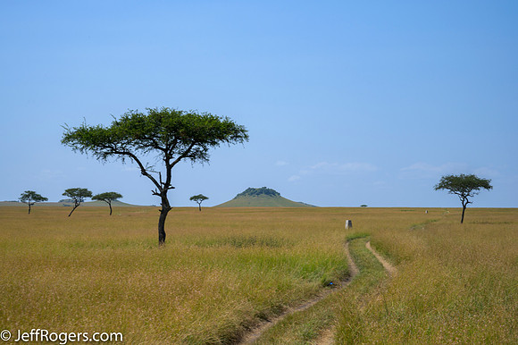 Maasai_Mara-3744