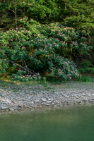 Water_LaurelLake-1350