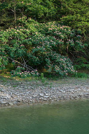Water_LaurelLake-1350