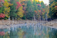 Water_LaurelLake-1366