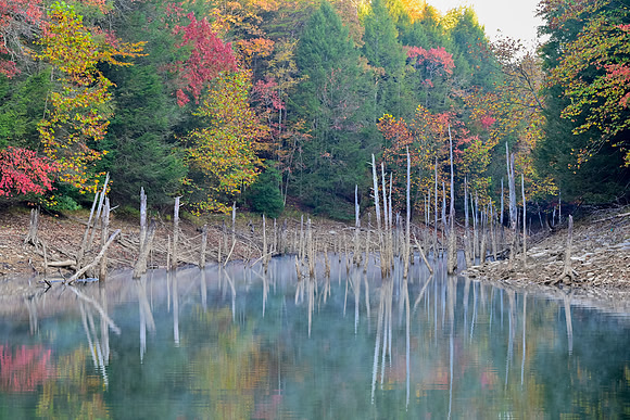 Water_LaurelLake-1366