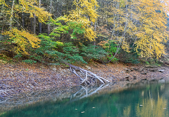 Water_LaurelLake-1645