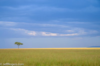 Maasai_Mara-3546