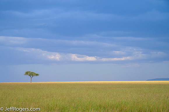 Maasai_Mara-3546