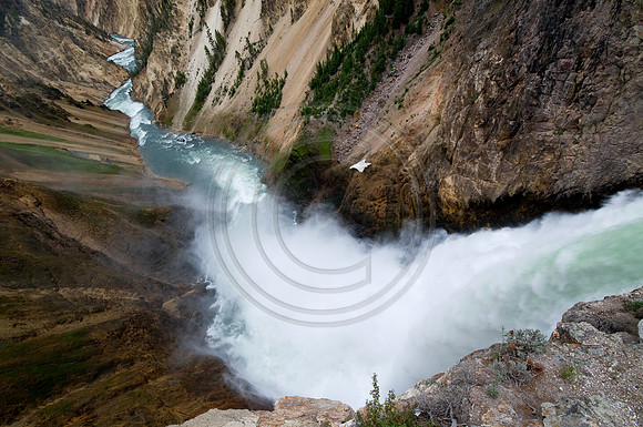 Yellowstone-6591