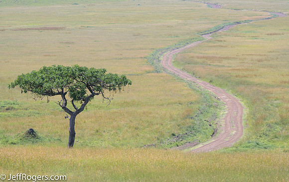 Maasai_Mara-5440