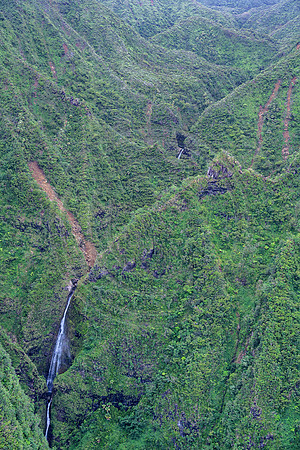 Hawaii-5656_Radiant