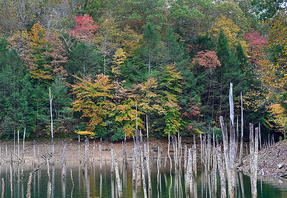 Water_LaurelLake-1973