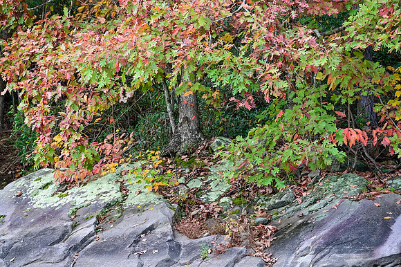 Water_LaurelLake-5623
