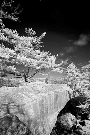 _JRP9944_Radiant
