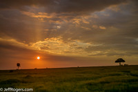 Maasai_Mara-3608