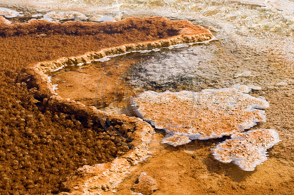 Yellowstone-6417