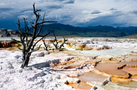 Yellowstone-6651