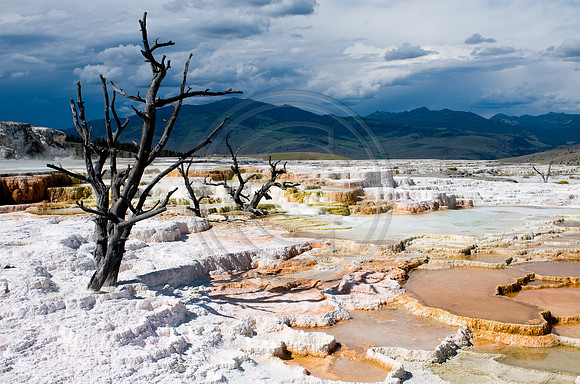 Yellowstone-6651