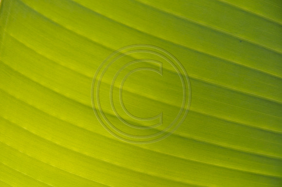 _JRP3867