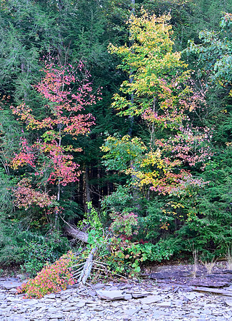 Water_LaurelLake-1577