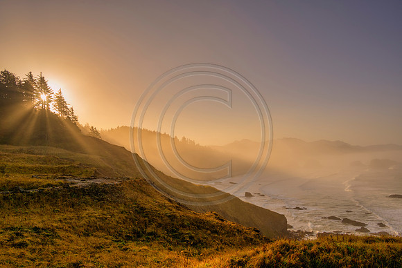 Oregon-4603_18x28