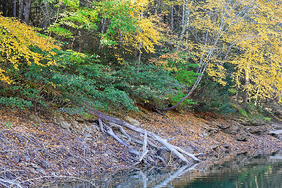 Water_LaurelLake-1658