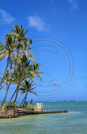 Hawaii-5967_Radiant