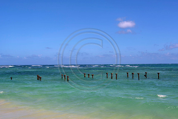 Hawaii-5991_Radiant
