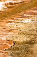 Yellowstone-6362