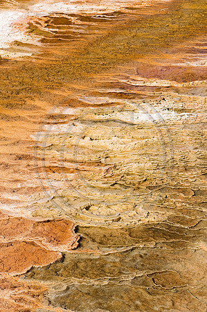 Yellowstone-6362