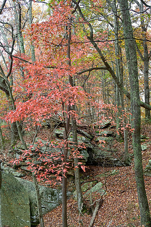 Water_LaurelLake-2383