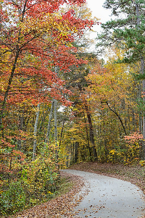 Water_LaurelLake-1756
