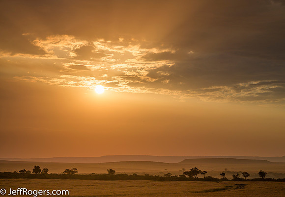 Maasai_Mara-3599