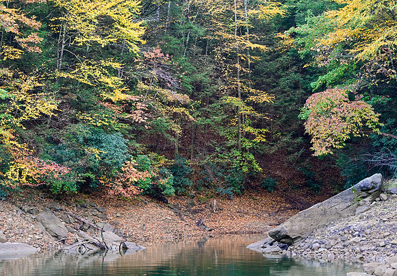 Water_LaurelLake-2032
