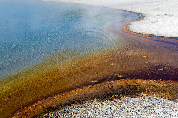 Yellowstone-6354