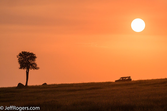 Maasai_Mara-5056
