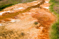 Yellowstone-6367
