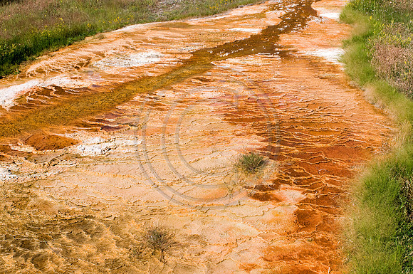 Yellowstone-6367