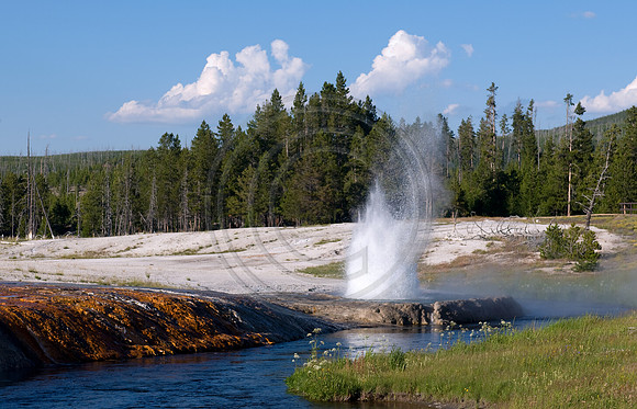 Yellowstone-6340