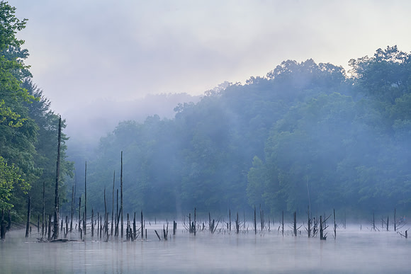 Water_LaurelLake-0816