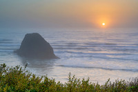 Oregon-4491