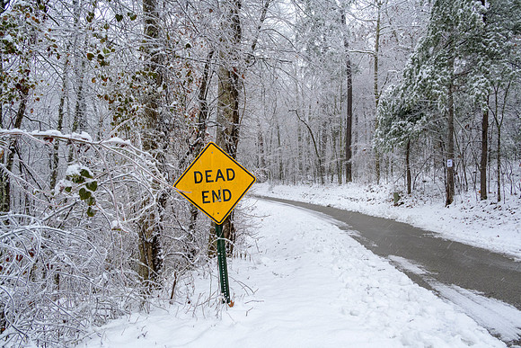 KY_Snow-6079