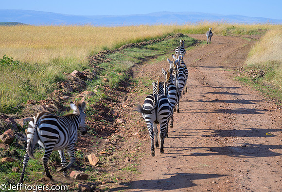 Maasai_Mara-3873