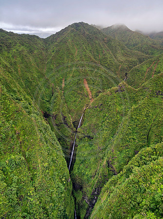 Hawaii-5669_Radiant